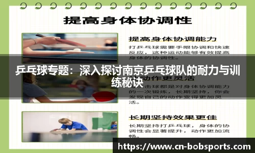 乒乓球专题：深入探讨南京乒乓球队的耐力与训练秘诀